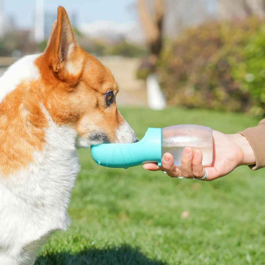 Portable Pet Water Bottle