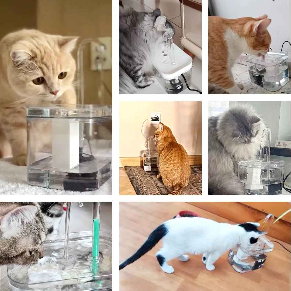 Smart Pet Water Fountain