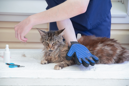 🐾 Pet Grooming Glove – The Easy Way to Keep Your Pet Clean & Happy