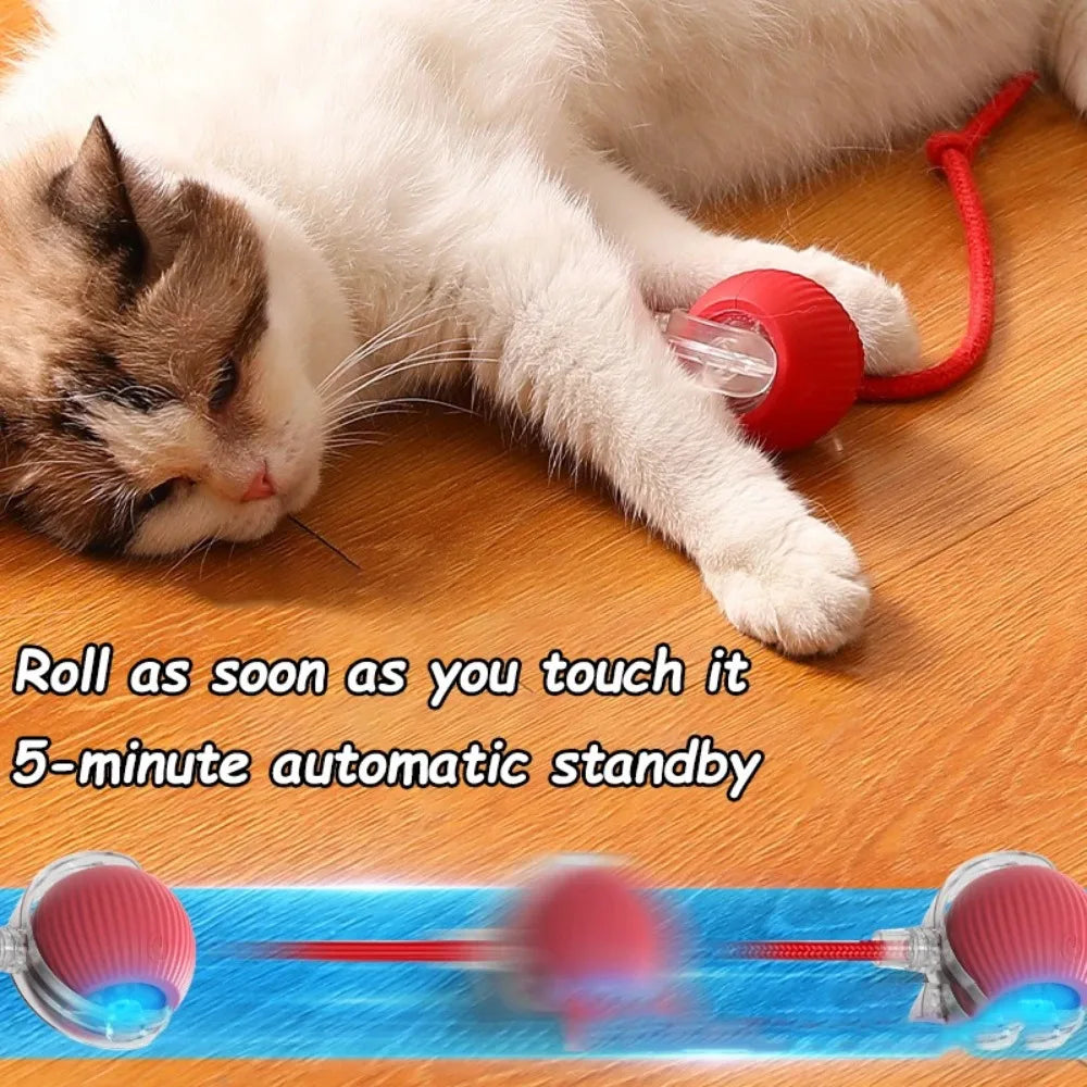 Smart Interactive Cat Toy Ball with Faux Tail