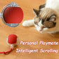 Smart Interactive Cat Toy Ball with Faux Tail