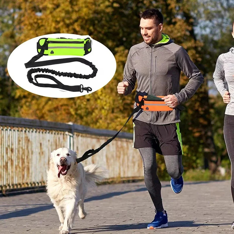 Hands-Free Dog Leash with Waist Bag