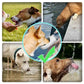 Portable Pet Water Bottle