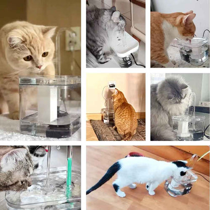 Smart Pet Water Fountain